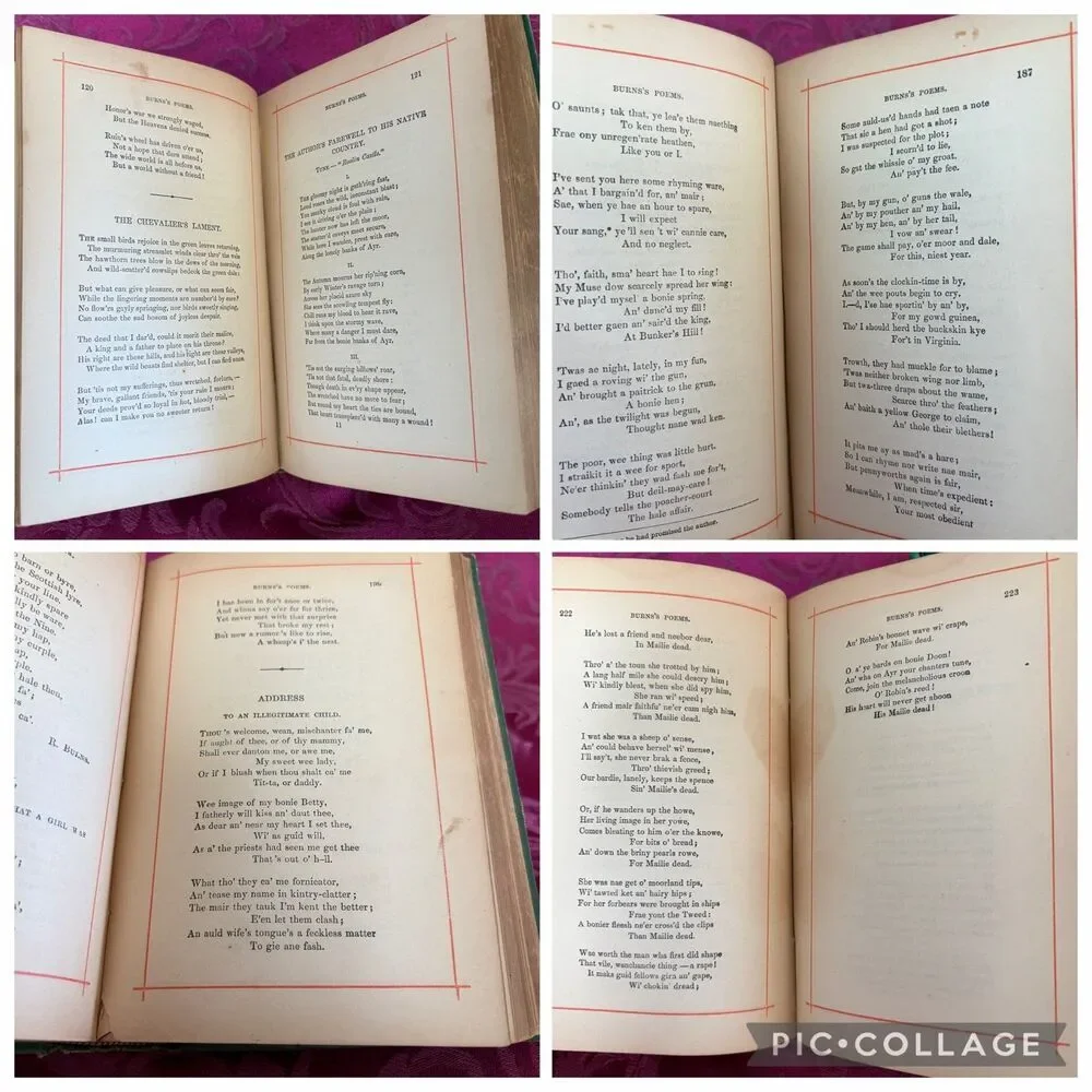 1881 The Poetical Works of Robert Burns, Antique Poetry Book, T. Y. Crowell